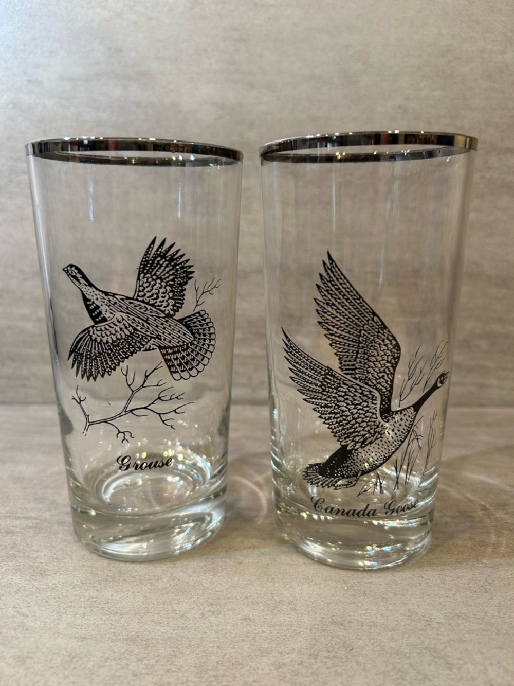 Vintage Canada Goose and Grouse Silver-Rimmed Glasses - Set of 2